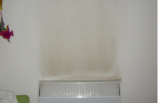 辦公室墻面養護、保護