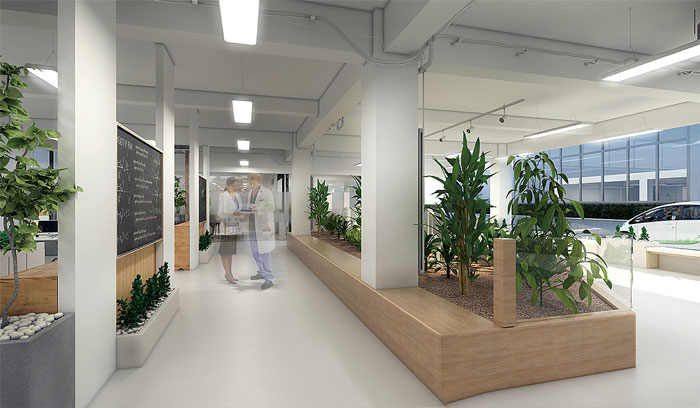 創(chuàng)客空間辦公室過道綠植裝修設(shè)計效果圖