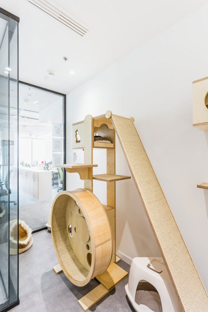 環保辦公室寵物區裝修設計效果圖