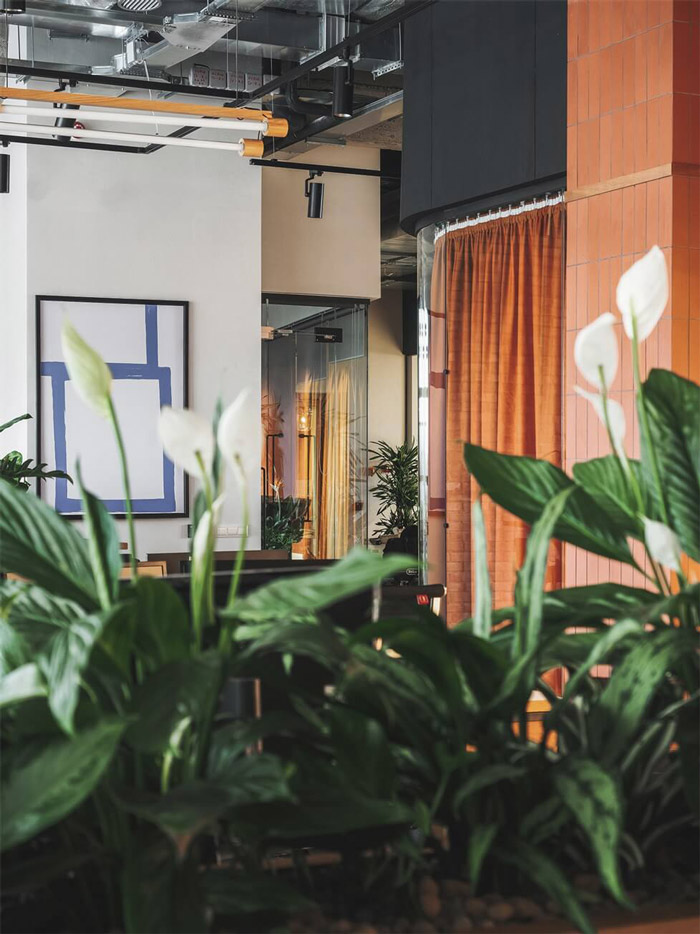 包豪斯風格辦公室綠植裝修設計效果圖